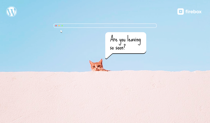 How to Create an Exit Popup in WordPress