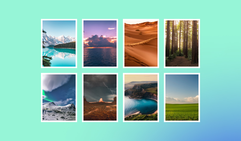 How to Create a WordPress Gallery in just a few minutes